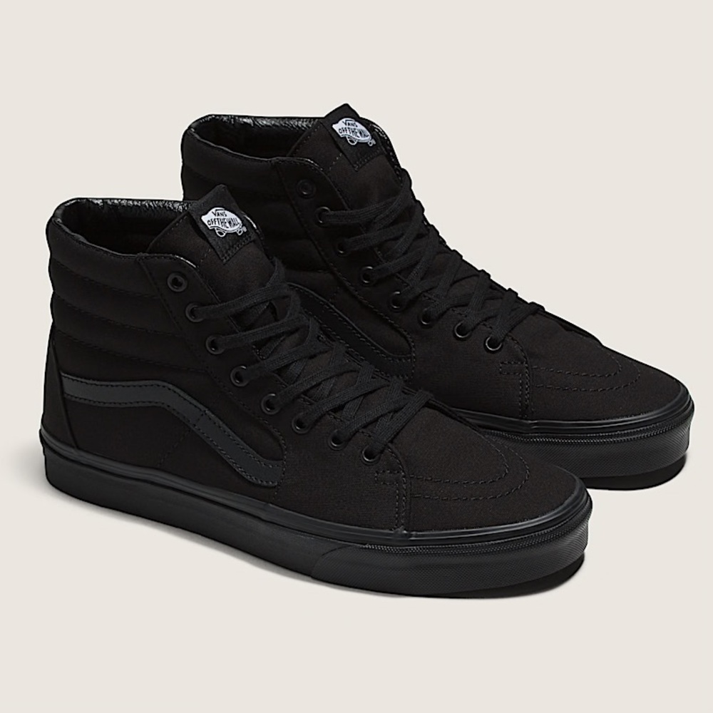 SK8-HI CANVAS SHOE